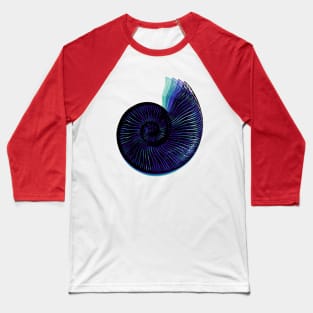 Ammonite Baseball T-Shirt